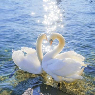 美军反舰导弹序列选型结束 中国需要跟进吗？