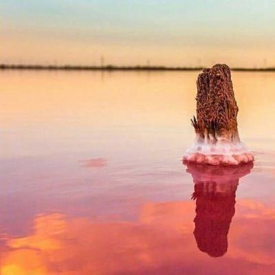 明星收入究竟有多高，明星应当如何纳税？